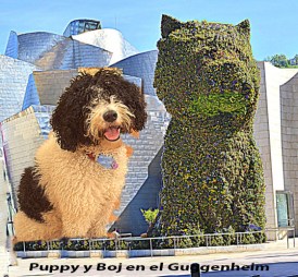 Puppy y Boj
